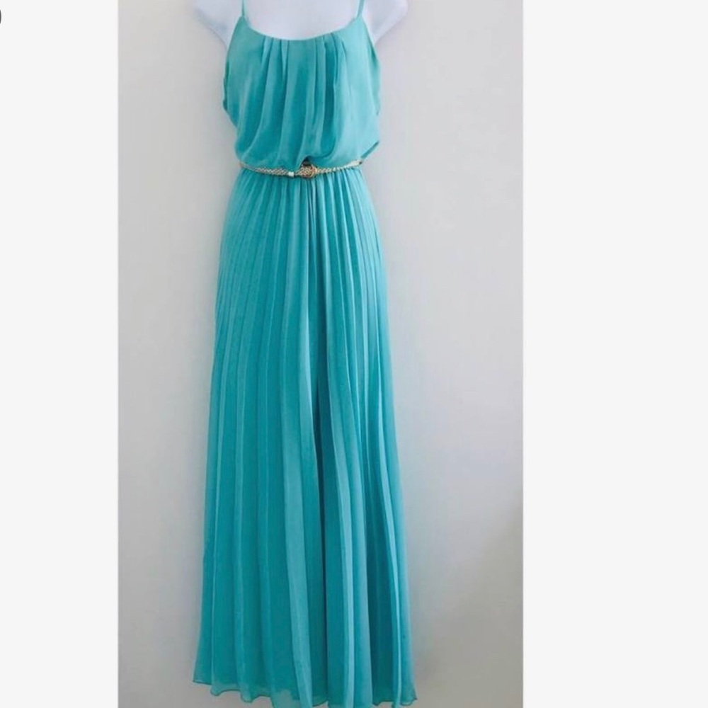 NWT Bisou Bisou Pleated Chiffon Gown